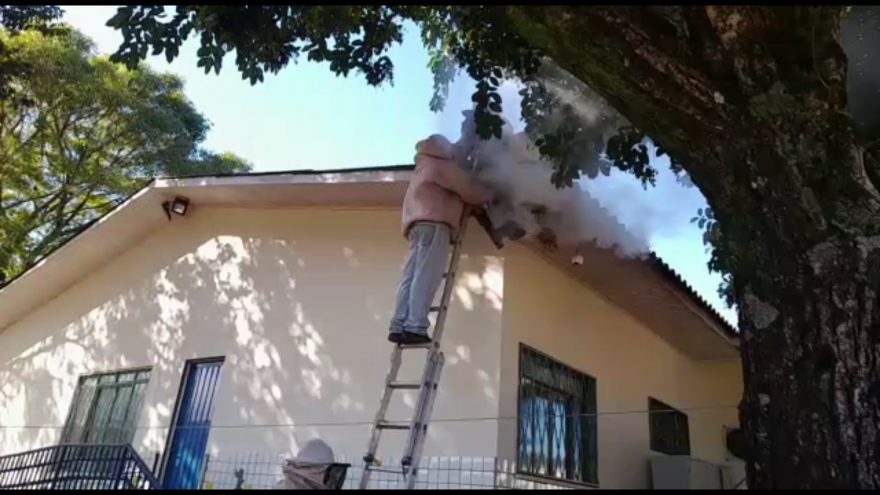 Defesa Civil realiza retirada de enxame de abelhas no fundo do Cmei do Bairro Floresta