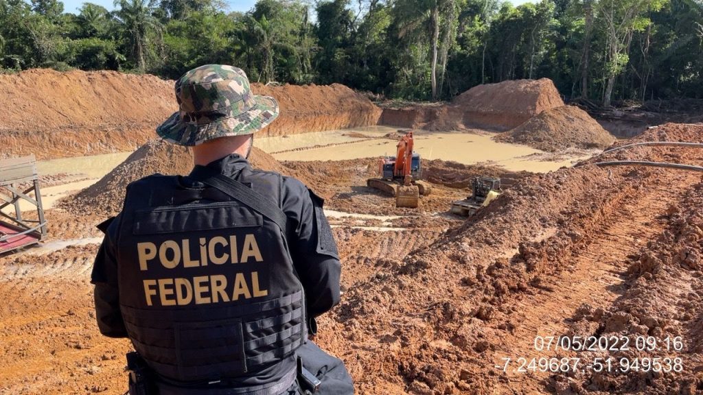 PF combate desmatamento ilegal na Amazônia