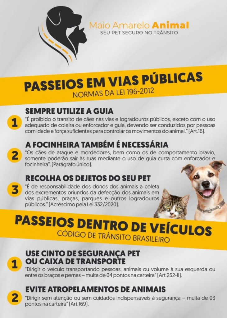 Diretoria de Bem-Estar Animal faz concurso para conscientização sobre cuidados com animais no trânsito