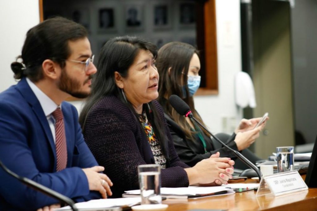 Comissão externa terá diligências e seminário para expor a violência contra o povo ianomâmi