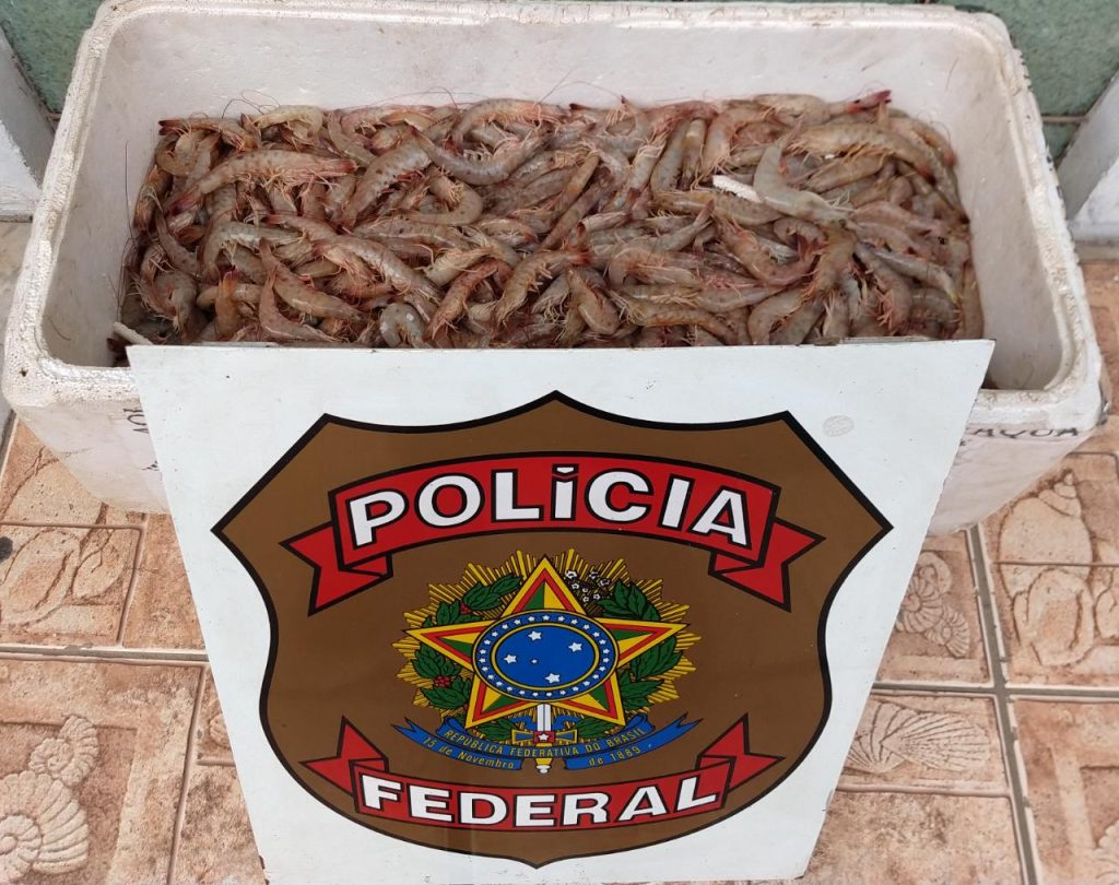 PF prende duas pessoas por pesca ilegal em Angra dos Reis/RJ