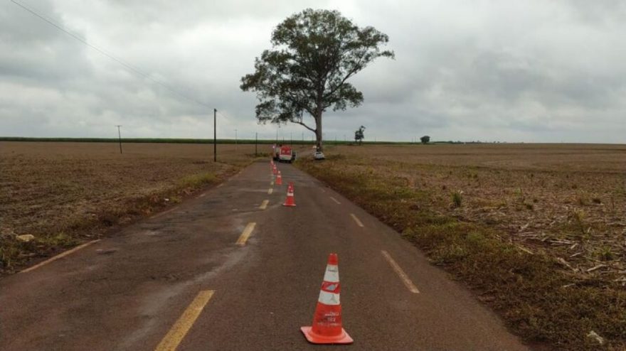 Professor morre ao bater em árvore em estrada de Arapongas