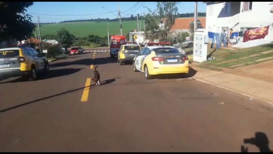 Homem em surto mobiliza várias equipes da PM até o Conjunto Riviera