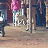 Imagem referente a Fugindo da PM, criminoso se esconde em residência e faz mulher refém no Bairro Claudete