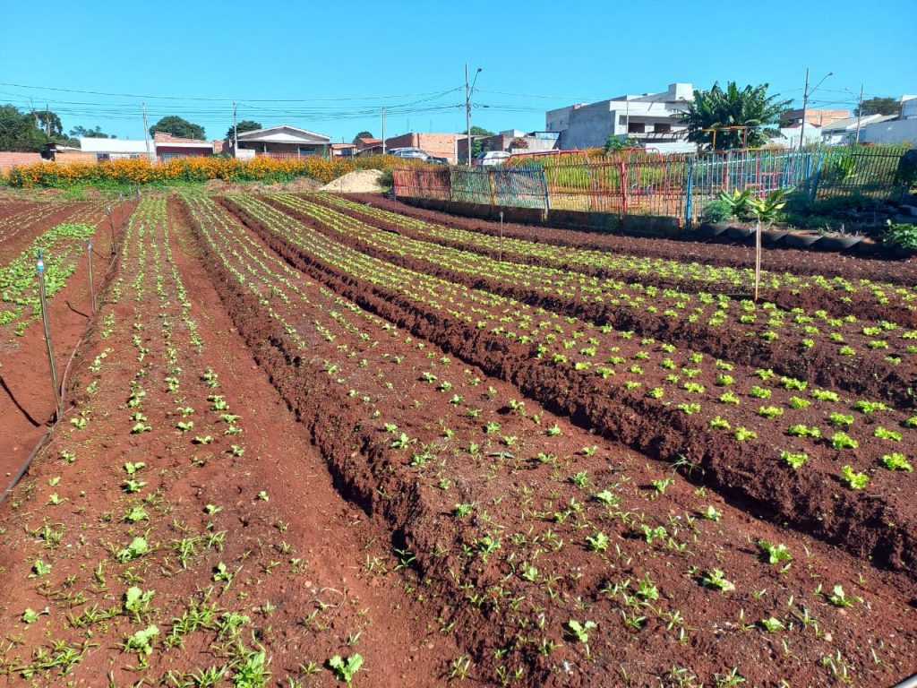 Representantes de 22 municípios conhecem o Programa Agricultura Urbana