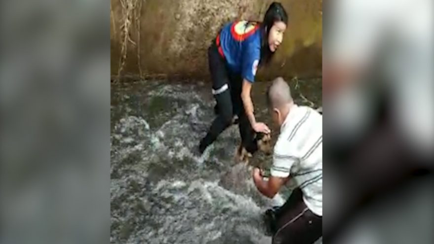 Grupo de bombeiros civis resgatam cachorrinho no Lago