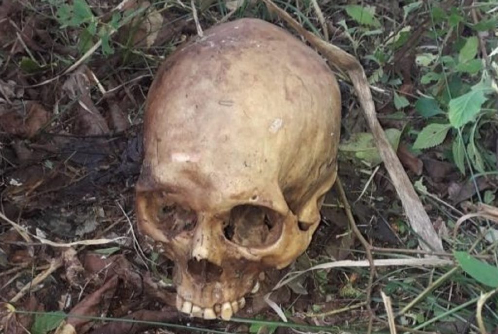 Crânio humano é encontrado nos fundos de igreja