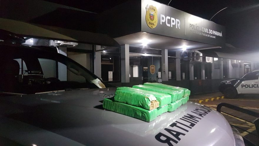 Mulher é detida por tráfico de drogas em Matelândia e trazida à delegacia de Cascavel