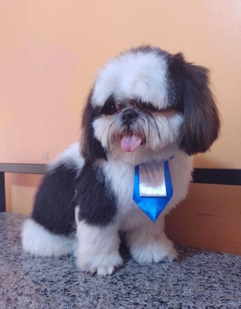 Billy sumiu Periolo