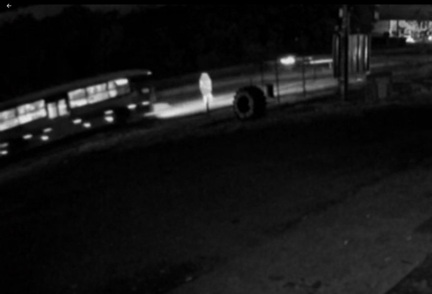 Vídeo mostra momento em que homem é atropelado por ônibus às margens da BR-277
