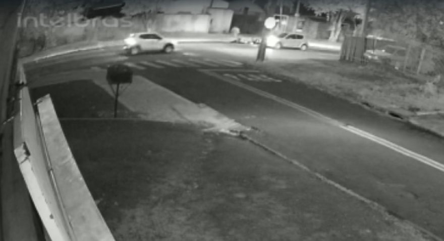 Veja o momento que gato atravessa a rua e causa acidente entre carro e moto