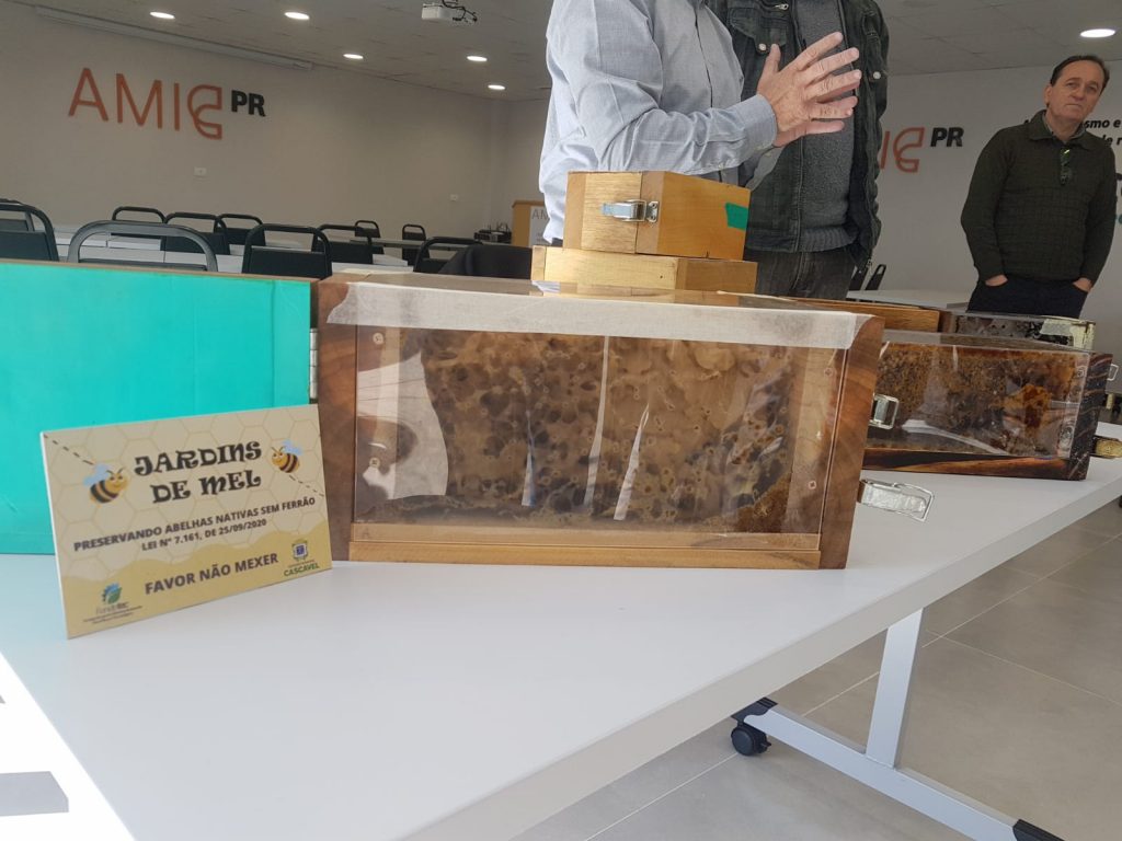 Em alusão ao Dia da Abelha, projeto “Jardins de Mel” é apresentado e implementado na AMIC PR