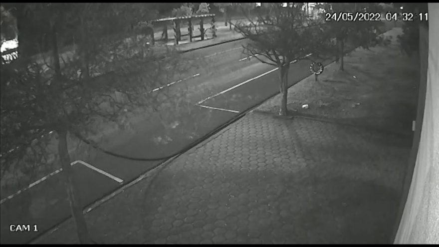Vídeo mostra ladrões cortando fios da rede de telefonia na Avenida Tancredo Neves