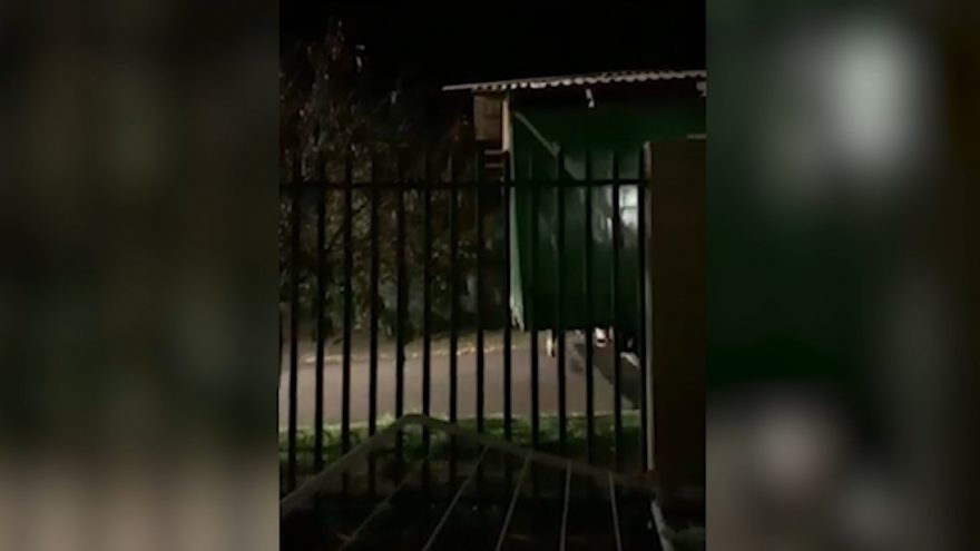 Casa sendo carregada por caminhão em Cascavel chama a atenção de moradores