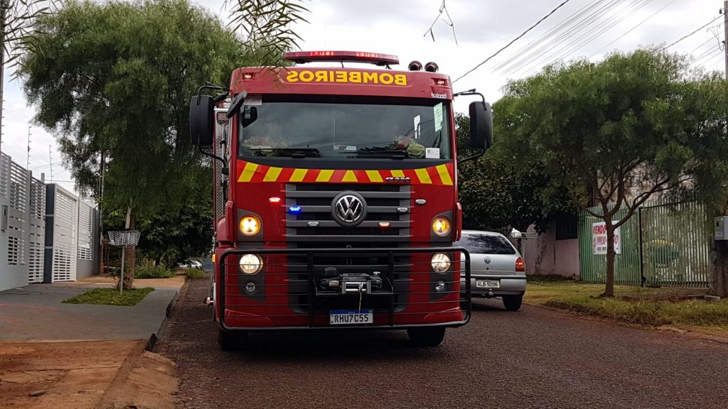 Três cachorros se envolvem em briga, dois fogem do local e bombeiros são mobilizados para resgatarem vítima ferida