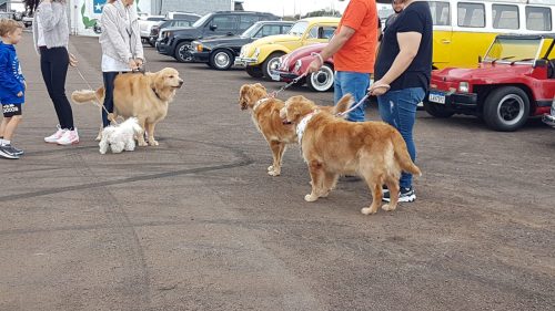 Imagem referente a Amigos e seguidores se reúnem no autódromo em tarde de homenagens para Jesse Koz e Shurastey