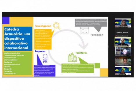 Evento de criação da Cátedra Araucária destaca integração das instituições por meio da diplomacia científica Imagem referente a Evento de criação da Cátedra Araucária destaca integração das instituições por meio da diplomacia científica