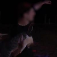 Imagem referente a Maldade: rapaz arremessa gato para o alto em churrasco em Cascavel