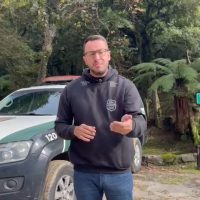 Imagem referente a Delegado Laiola investiga caso de cascavelense que teria arremessado gato durante festa