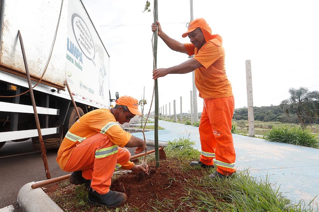Plantio de ipês faz parte da Semana do Meio Ambiente
