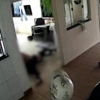 Imagem referente a Imagens mostram momento em que Nelci Terezinha Gonzatti foi morta