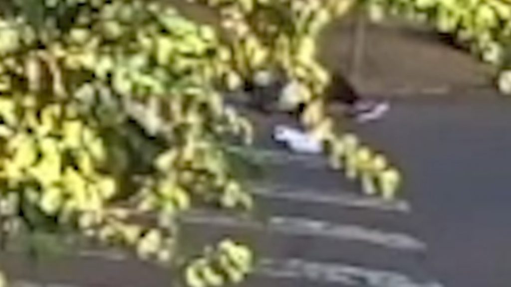 Veja imagens do momento em que idosa é atropelada no Centro