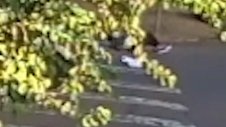 Veja imagens do momento em que idosa é atropelada no Centro