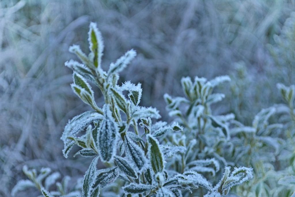 Massa de ar frio pode congelar os dedinhos do pé neste fim de semana