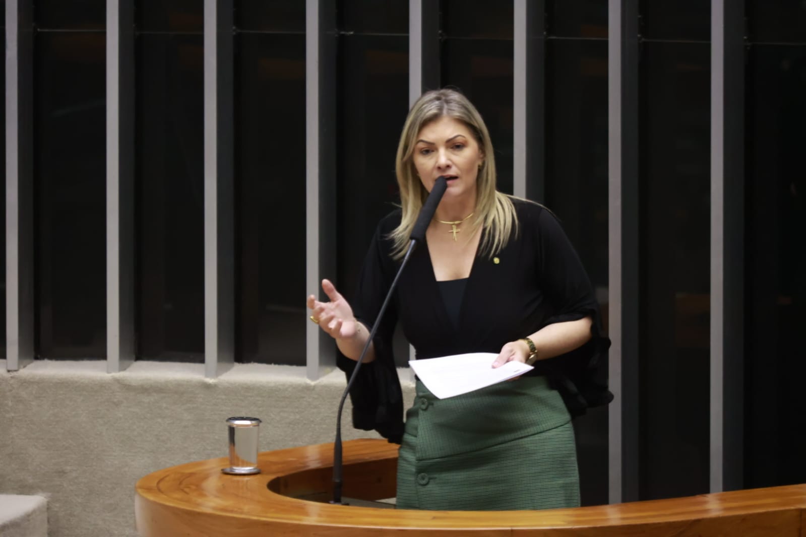 Deputada Aline Sleutjes reafirma que é pré-candidata ao Senado Deputada Aline Sleutjes reafirma que é pré-candidata ao Senado