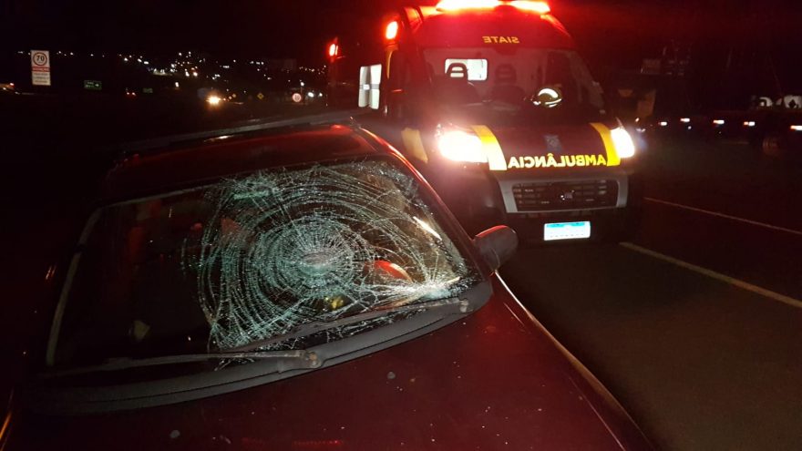 Homem que estava avisando sobre boi solto na marginal é atropelado por familiar de vítima de capotamento na BR-277