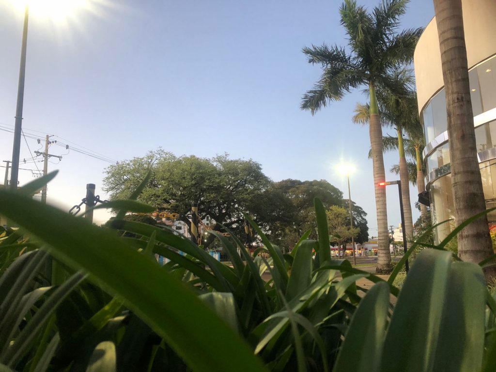 Boa sorte aos solteiros, domingo (12) começa com -3º de sensação térmica