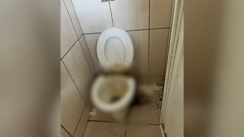 “Sem condições de usar o banheiro” relata internauta após caminhada no Lago Municipal