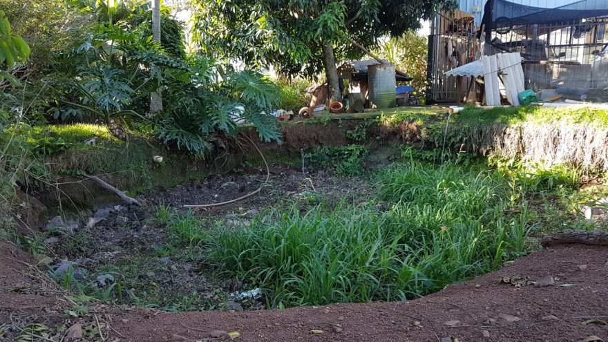 Patrulha Ambiental da Guarda Municipal notifica moradores ao tentar fechar mina de água