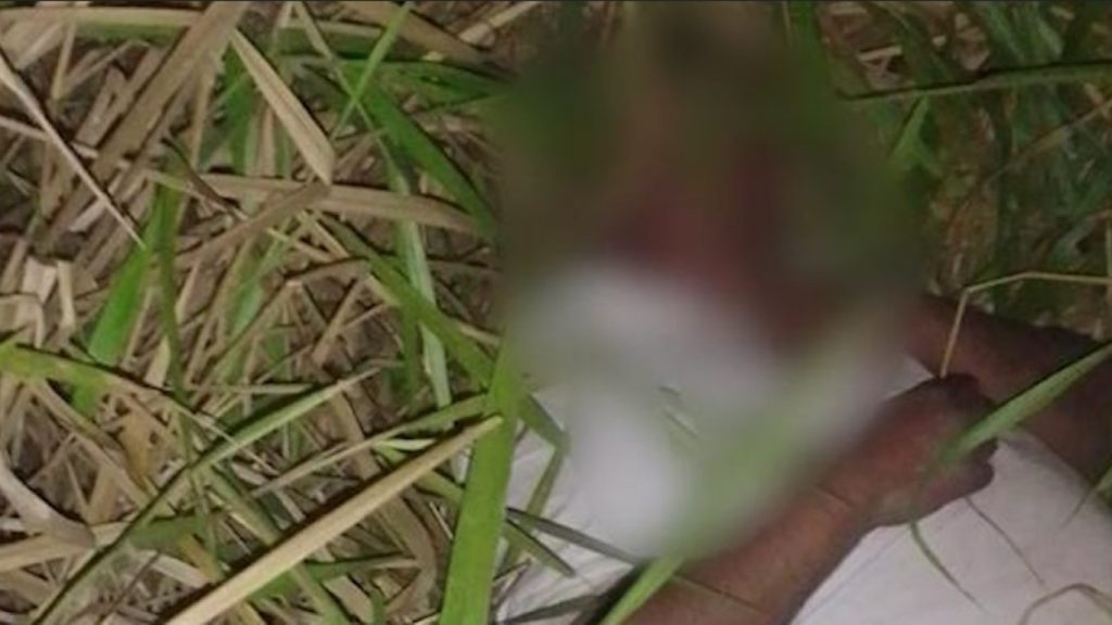 Homem é encontrado caído na marginal da BR-369 em Cascavel