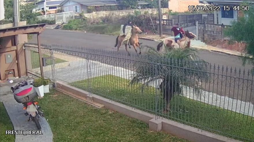 Suspeitos de roubo à cavalo são presos pela PM