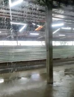 Vídeo: internauta mostra chuvarada invadindo o Terminal Sul