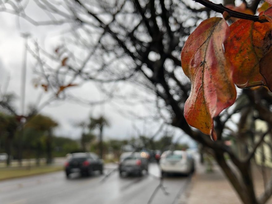 Fim de semana deve ser ensolarado e frio em Cascavel; temperaturas podem chegar a 7º