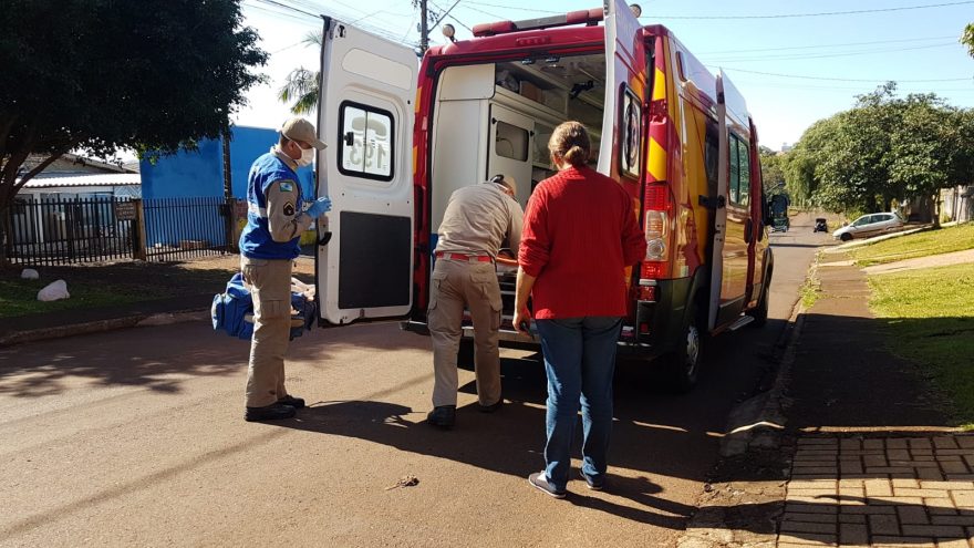 Galho de árvore cai sobre idoso que sofre fratura