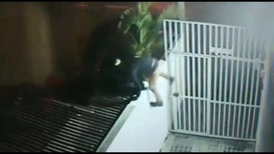 Vídeo mostra ladrão pulando muro de residência para furtar churrasqueira