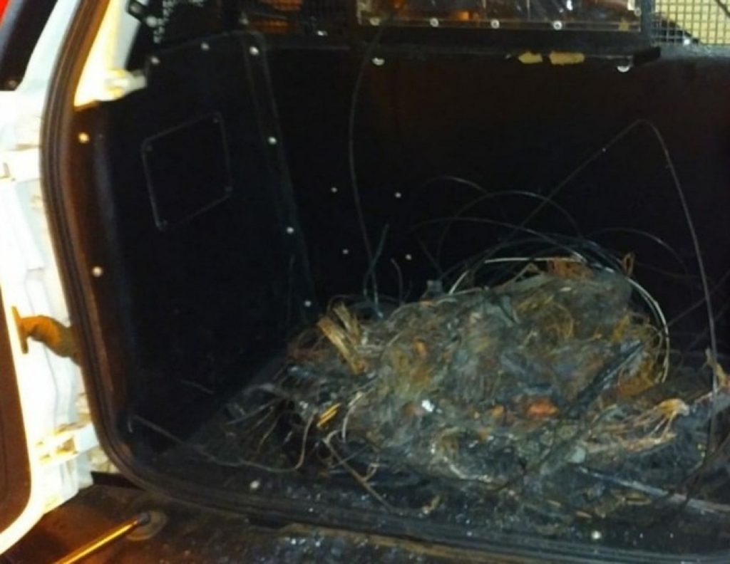 Guarda Municipal apreende 20 quilos de cabos de cobre