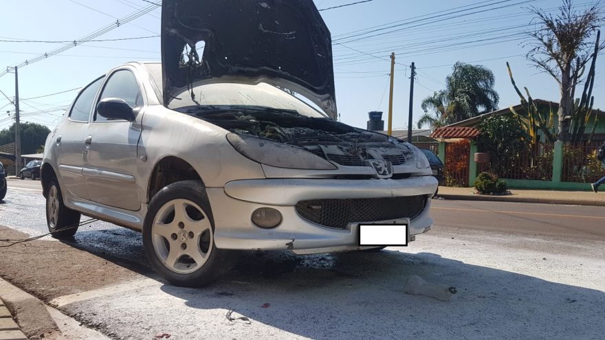 Motor de Peugeot pega fogo e bombeiros controlam chamas, no Santa Cruz