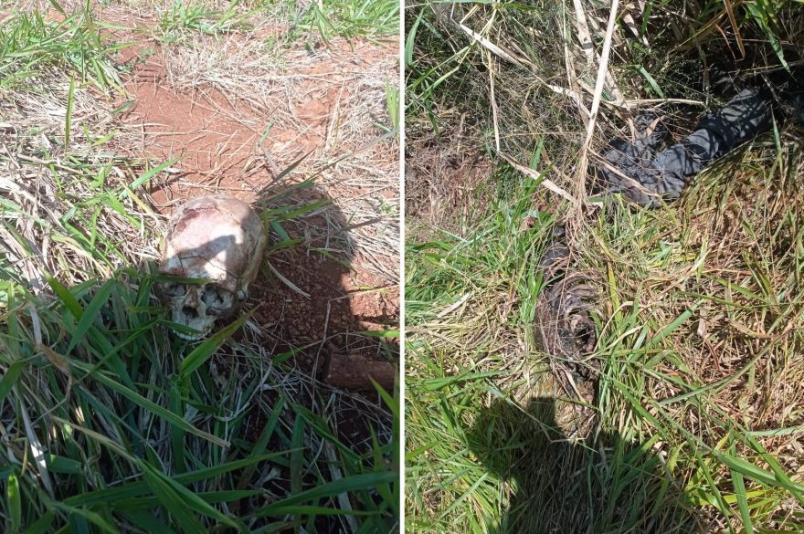 Equipes da Polícia Civil e IML são acionadas após ossada ser encontrada em Santa Tereza do Oeste