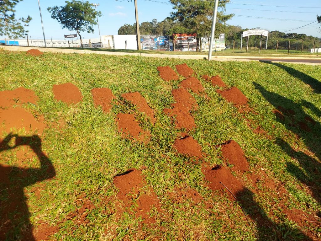 Treinamento de combate a formigas cortadeiras é realizado pela Defesa Civil