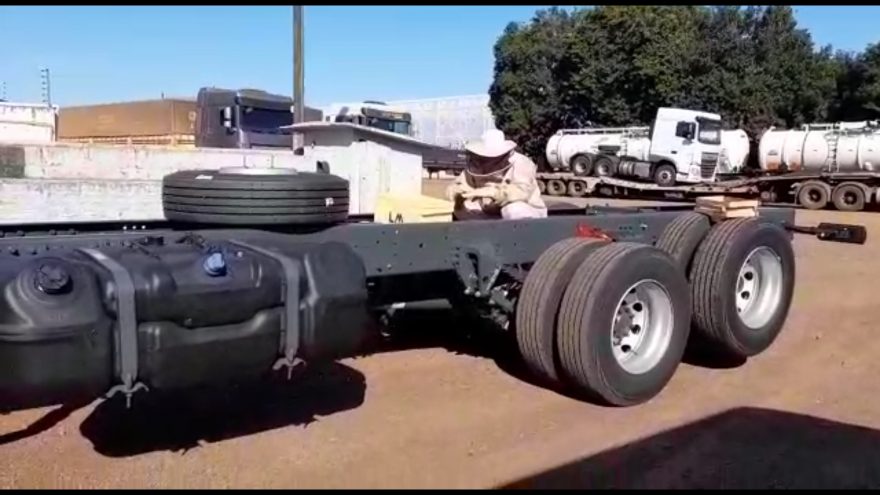Defesa Civil retira enxame de abelhas que se instalou em caminhão às margens da BR-277