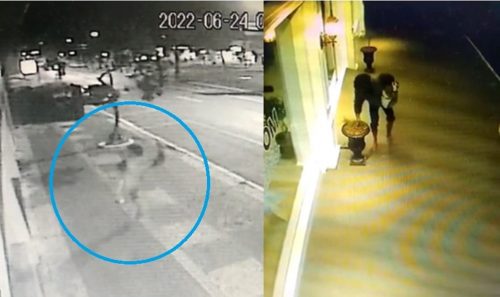 Sem serventia! Vídeo mostra homem atirando pedra contra vidro de empresa e destruindo plantas em vasos Imagem referente a Sem serventia! Vídeo mostra homem atirando pedra contra vidro de empresa e destruindo plantas em vasos