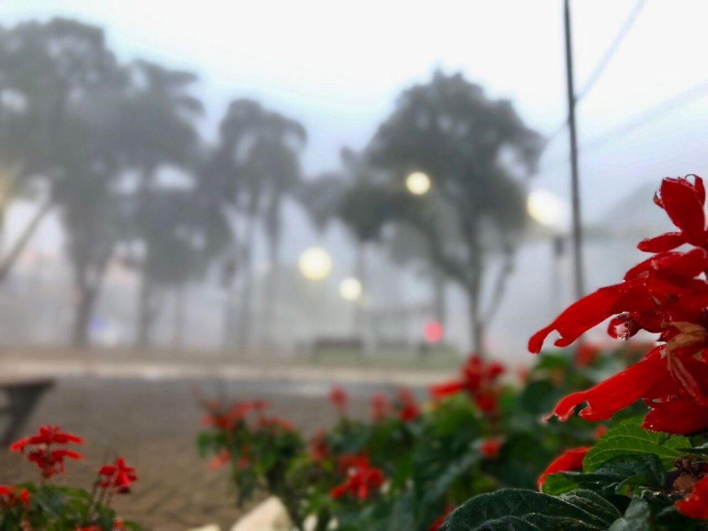 Previsão do tempo para este domingo (26) em Cascavel é mínima de 14º e máxima de 22º