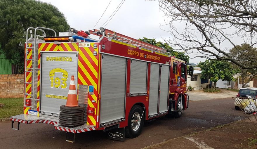 Macaco encosta em fiação elétrica na Vila Tolentino e moradores acionam Corpo de Bombeiros