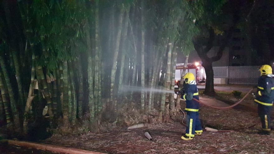 Usuários de droga ateiam fogo em bambuzal na Praça do Migrante e Corpo de Bombeiros é acionado