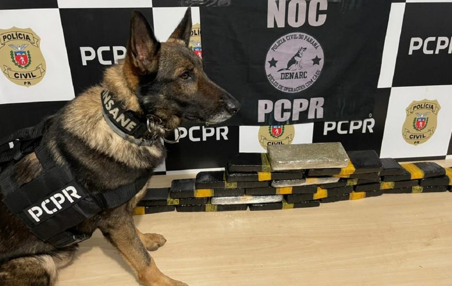 Polícia Civil do Paraná apreende 17 Kg de drogas e prende duas pessoas na BR-277 em Céu Azul