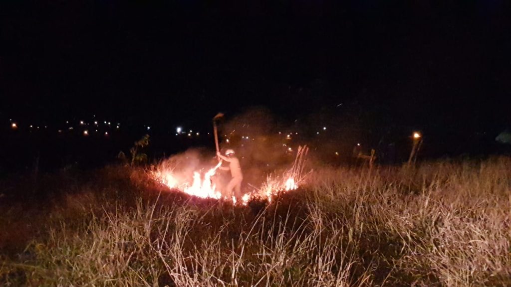 Grande incêndio em vegetação mobiliza Corpo de Bombeiros